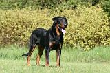 BEAUCERON 961